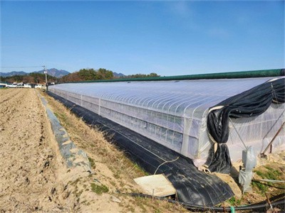 Qual è la differenza tra film agricolo in PO e film in PE